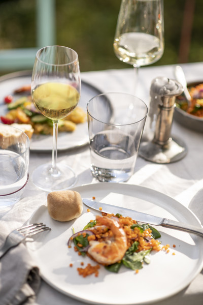 Schott Zwiesel Wineshine kozarec za belo vino - slika 4