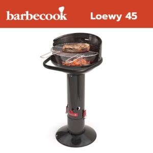 Barbecook Loewy 45 žar na leseno oglje