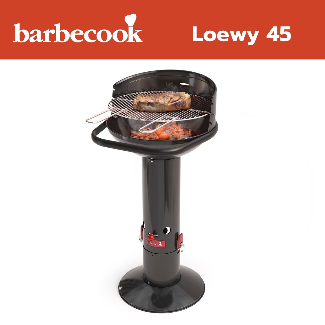 Barbecook Loewy 45 žar na leseno oglje