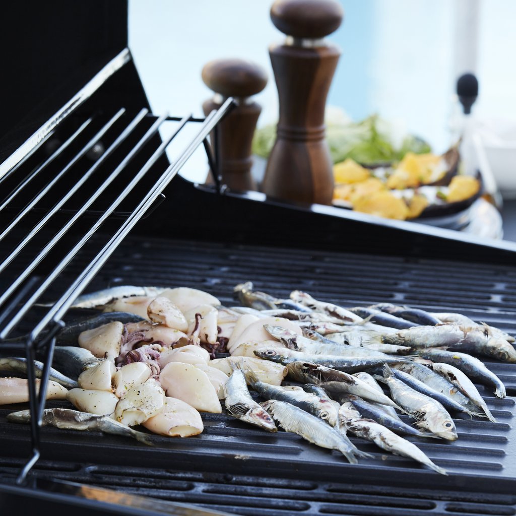 Barbecook Stella 4311 plinski žar + plinski regulator s cevjo - slika 8